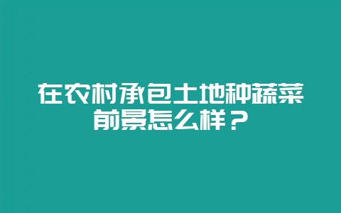 在农村承包土地种蔬菜前景怎么样?-会东网