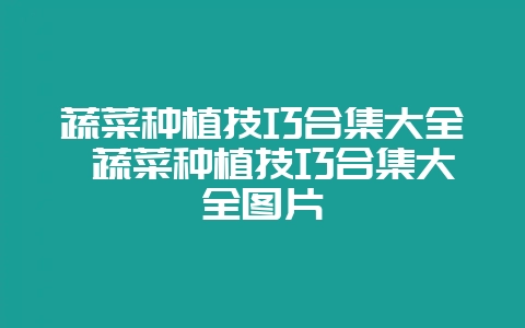 蔬菜种植技巧合集大全 蔬菜种植技巧合集大全图片-会东网