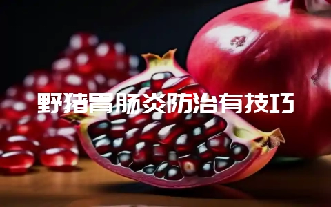 野猪胃肠炎防治有技巧-会东网