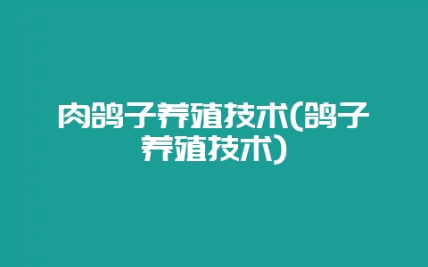 肉鸽子养殖技术(鸽子养殖技术)插图 肉鸽子养殖技术(鸽子养殖技术)插图