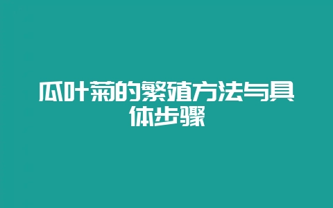 瓜叶菊的繁殖方法与具体步骤-会东网