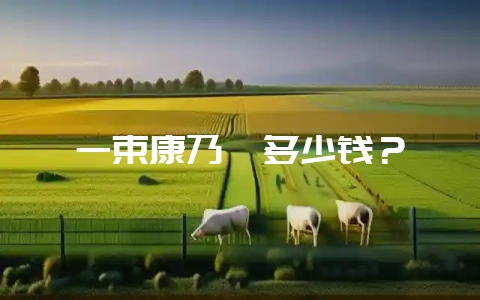 一束康乃馨多少钱?-会东网