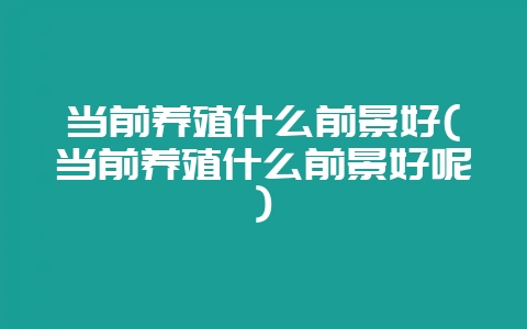 当前养殖什么前景好(当前养殖什么前景好呢)-会东网