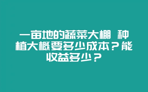 一亩地的蔬菜大棚 种植大概要多少成本?能收益多少?-会东网