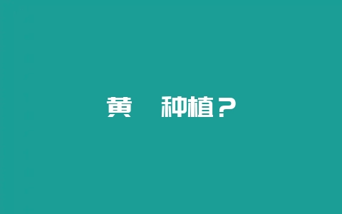 黄芪种植？-会东网