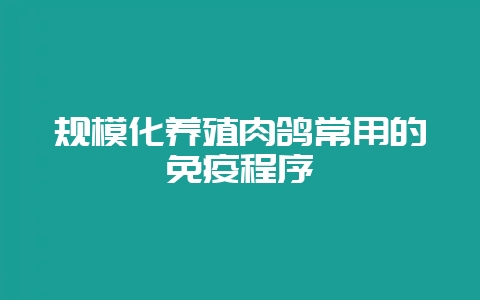 规模化养殖肉鸽常用的免疫程序-会东网