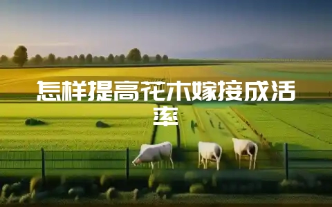 怎样提高花木嫁接成活率-会东网