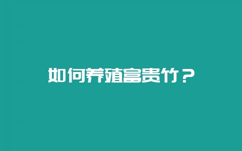 如何养殖富贵竹？-会东网