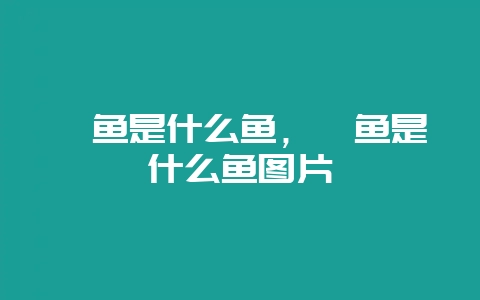 鮰鱼是什么鱼，鮰鱼是什么鱼图片-会东网
