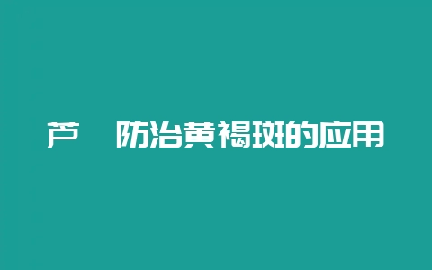 芦荟防治黄褐斑的应用-会东网