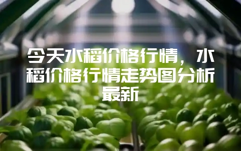 今天水稻价格行情，水稻价格行情走势图分析最新-会东网