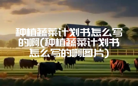 种植蔬菜计划书怎么写的啊(种植蔬菜计划书怎么写的啊图片)-会东网