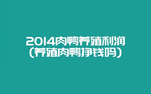 2014肉鸭养殖利润(养殖肉鸭挣钱吗)-会东网