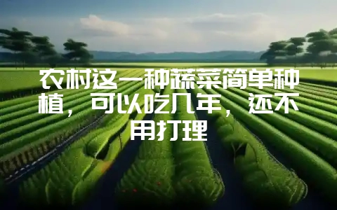 农村这一种蔬菜简单种植，可以吃几年，还不用打理-会东网