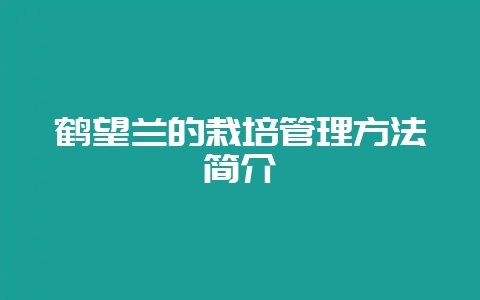 鹤望兰的栽培管理方法简介-会东网