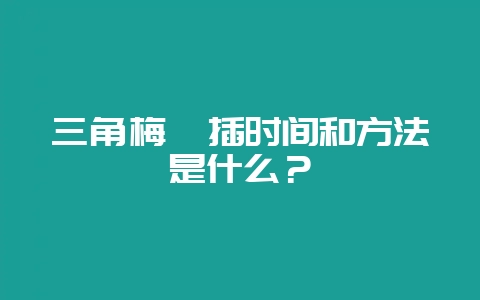 三角梅扦插时间和方法是什么?-会东网