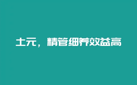 土元，精管细养效益高-会东网