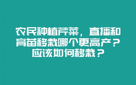 农民种植芹菜,直播和育苗移栽哪个更高产?应该如何移栽?-会东网
