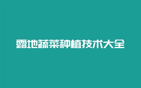 露地蔬菜种植技术大全-会东网