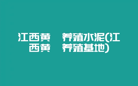 江西黄鳝养殖水泥(江西黄鳝养殖基地)-会东网