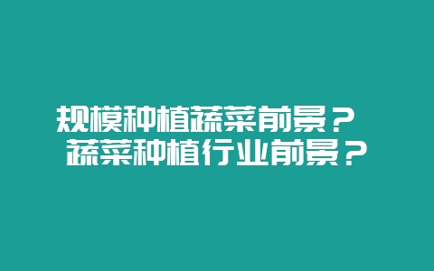 规模种植蔬菜前景？ 蔬菜种植行业前景？-会东网