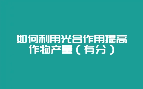 如何利用光合作用提高作物产量（有分）-会东网