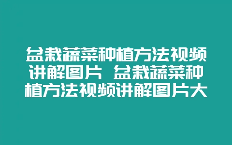 盆栽蔬菜种植方法视频讲解图片 盆栽蔬菜种植方法视频讲解图片大全-会东网