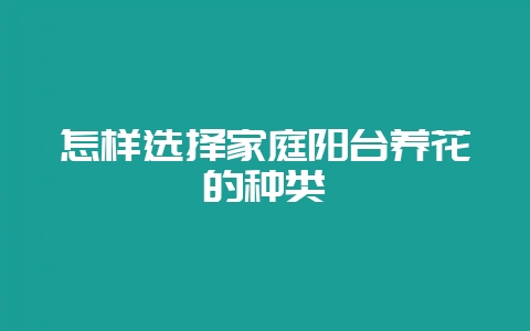 怎样选择家庭阳台养花的种类-会东网