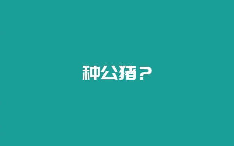 种公猪?插图 种公猪?插图