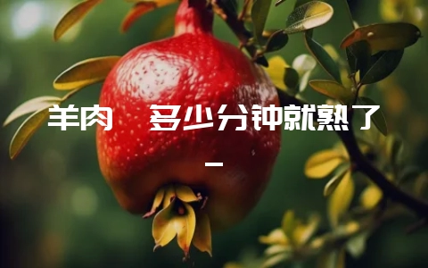 羊肉炖多少分钟就熟了_-会东网