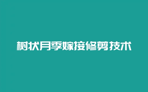 树状月季嫁接修剪技术-会东网