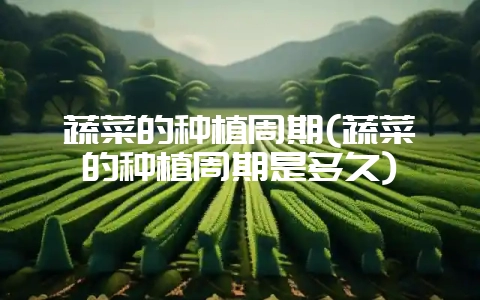 蔬菜的种植周期(蔬菜的种植周期是多久)-会东网
