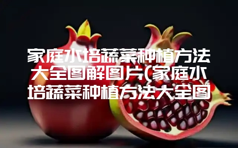 家庭水培蔬菜种植方法大全图解图片(家庭水培蔬菜种植方法大全图解图片视频)-会东网