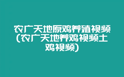 农广天地原鸡养殖视频(农广天地养鸡视频土鸡视频)-会东网