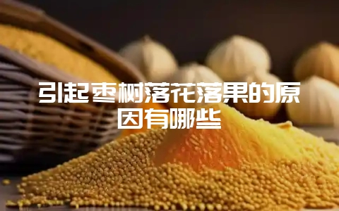 引起枣树落花落果的原因有哪些-会东网