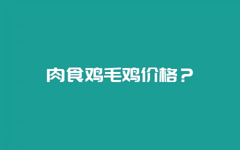 肉食鸡毛鸡价格？-会东网