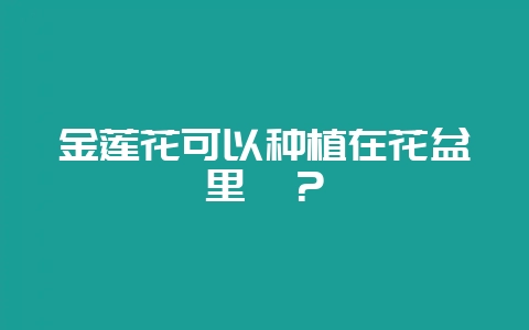 金莲花可以种植在花盆里嘛？-会东网