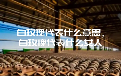 白玫瑰代表什么意思，白玫瑰代表什么女人-会东网