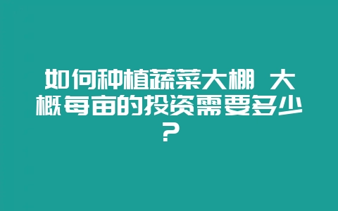 如何种植蔬菜大棚 大概每亩的投资需要多少？-会东网
