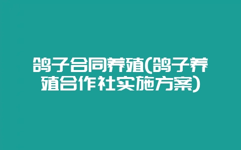 鸽子合同养殖(鸽子养殖合作社实施方案)插图 鸽子合同养殖(鸽子养殖合作社实施方案)插图