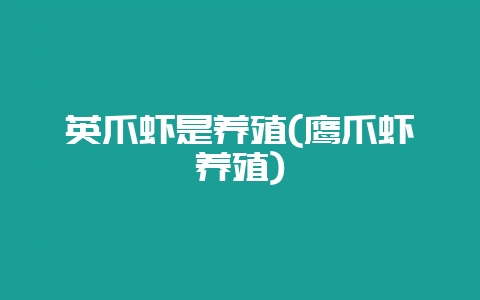 英爪虾是养殖(鹰爪虾养殖)-会东网