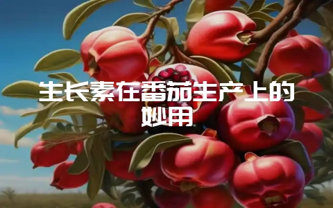 生长素在番茄生产上的妙用-会东网