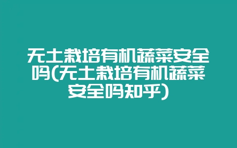 无土栽培有机蔬菜安全吗(无土栽培有机蔬菜安全吗知乎)-会东网