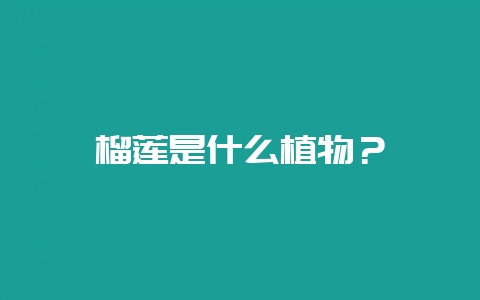 榴莲是什么植物？-会东网