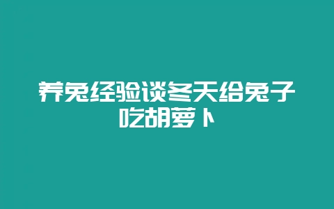 养兔经验谈冬天给兔子吃胡萝卜-会东网