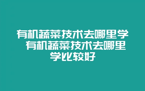 有机蔬菜技术去哪里学 有机蔬菜技术去哪里学比较好-会东网
