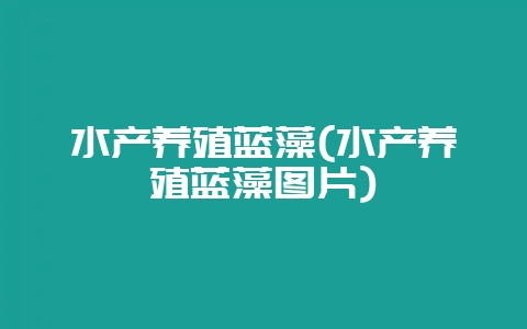 水产养殖蓝藻(水产养殖蓝藻图片)-会东网