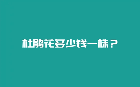 杜鹃花多少钱一株？-会东网