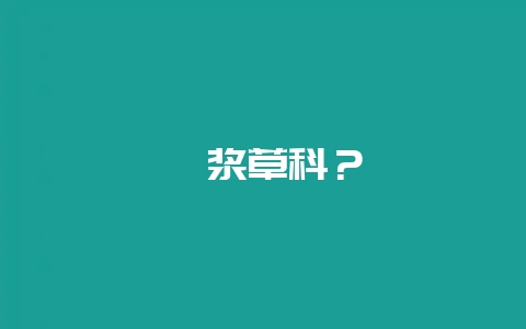 酢浆草科？-会东网