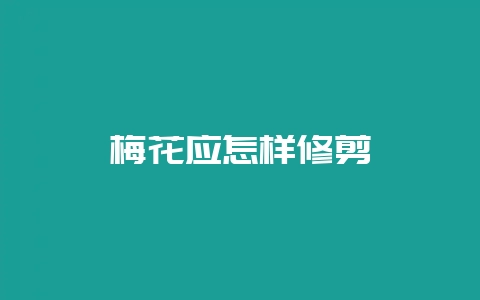 梅花应怎样修剪-会东网